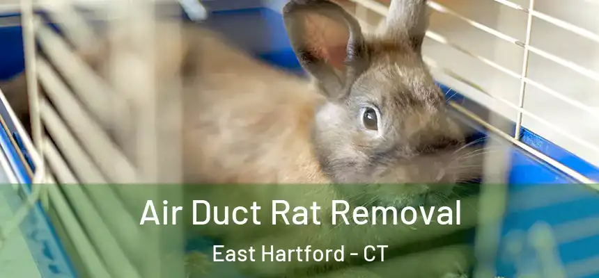  Air Duct Rat Removal East Hartford - CT