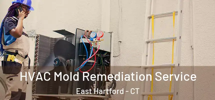  HVAC Mold Remediation Service East Hartford - CT
