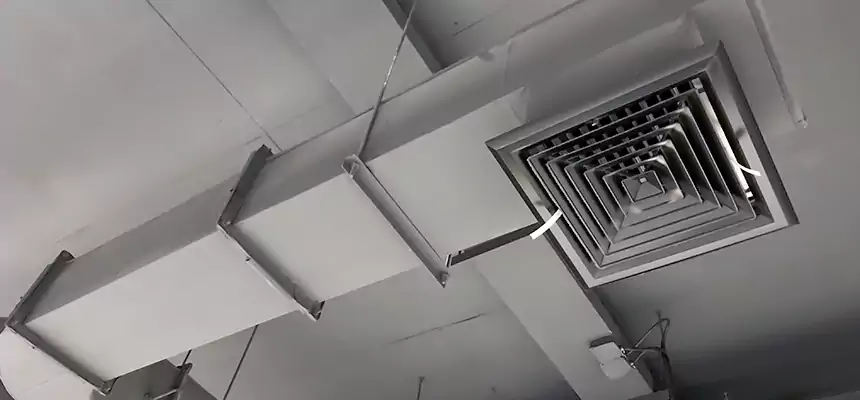 Our Pest Removal From Ducts Services in East Hartford, CT