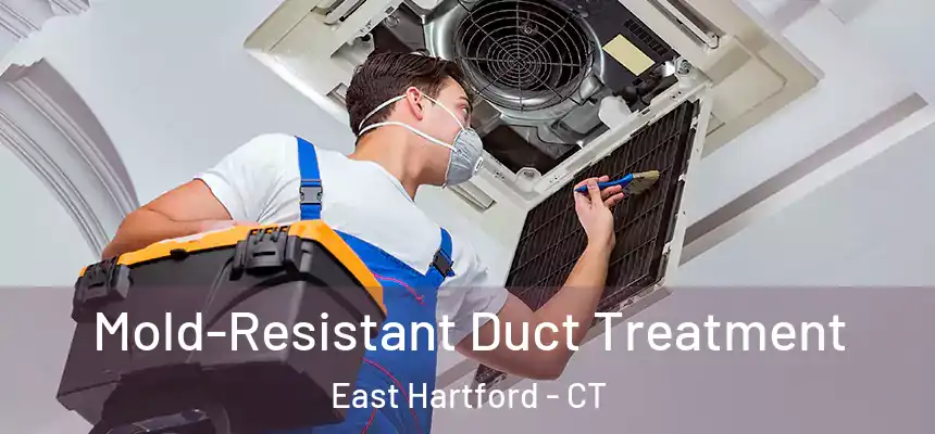  Mold-Resistant Duct Treatment East Hartford - CT