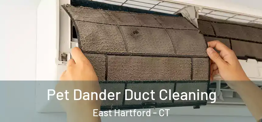 Pet Dander Duct Cleaning East Hartford - CT