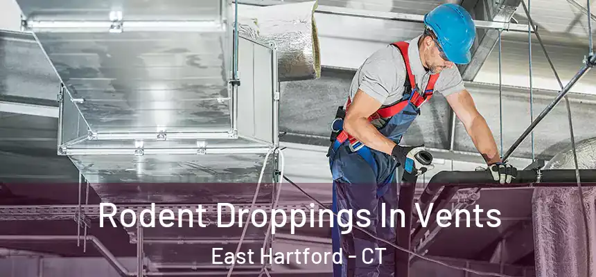  Rodent Droppings In Vents East Hartford - CT