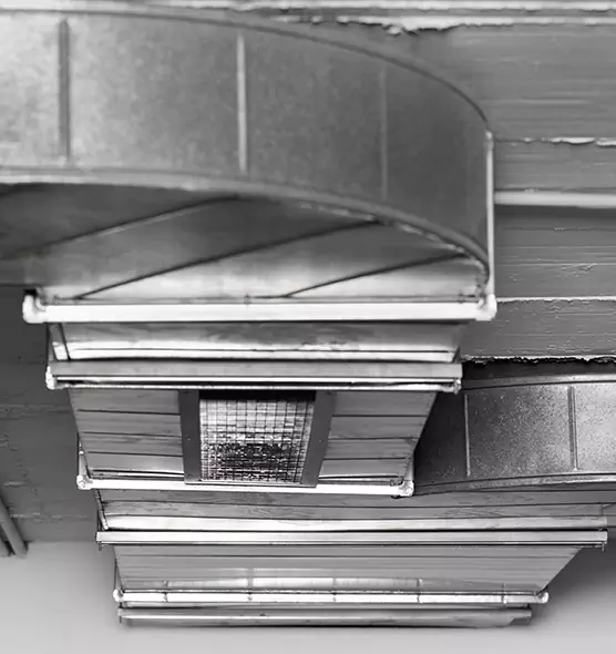 Professional Air Duct Pest Removal in East Hartford, CT