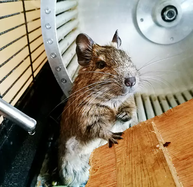 Why Homeowners & Businesses Trust Us East Hartford, CT